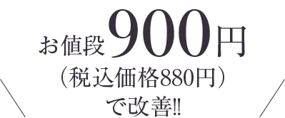 お値段900円（税込価格990円）で改善！