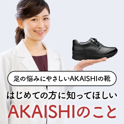 はじめてのAKAISHI