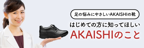 はじめてのAKAISHI